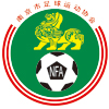南京市足球運動協會